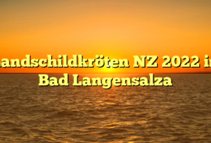 Landschildkröten NZ 2022 in Bad Langensalza