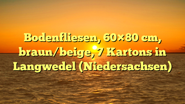 Bodenfliesen, 60×80 cm, braun/beige, 7 Kartons in Langwedel (Niedersachsen)