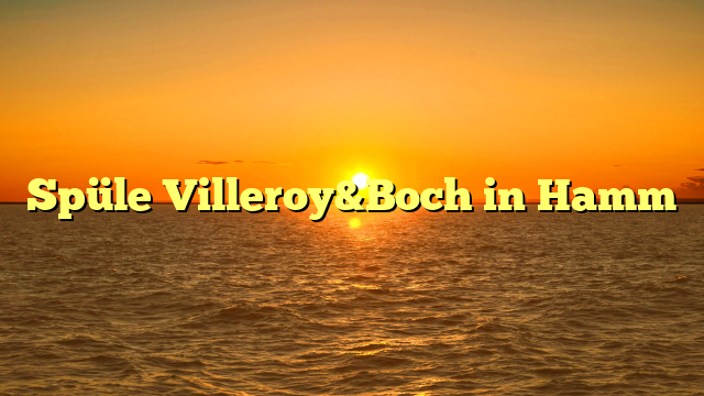 Spüle Villeroy&Boch in Hamm