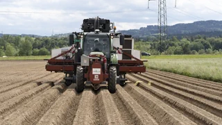 Wegen Freihandelsabkommen – Schweizer Landwirtschaft soll mehr Subventionen bekommen