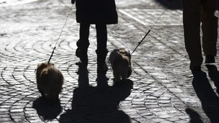 Prozess in Gstaad – Drahtzieherin von Menschenhandel im Berner Oberland verurteilt