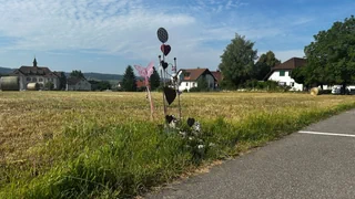 Solothurner Gerichtsprozess – Täter von Bellach wegen Mordes verurteilt