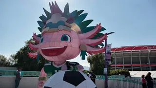 Fussball-Maskottchen – Der Axolotl: WM-Star mit Superkraft