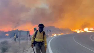 «Beispiellose Tragödie» – Zwölf Tote bei Waldbrand in Andalusien