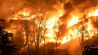 Brandherde in Europa – 10'000 Menschen fliehen vor Flammen in Südfrankreich
